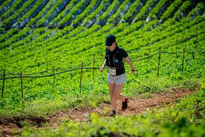 BIB: 
                            <button type="button" onclick="openModal(19162895)" class="btn btn-primary btn-sm float-right btn-popup" data-toggle="modal" data-target=".modal-high-quality">
                        <i class="fas fa-shopping-cart"></i> Add to Cart
                    </button>
                                            <button type="button" onclick="isThisMe(19162895, true)" class="btn btn-success btn-sm float-right btn-popup btn-isme hidden" data-toggle="tooltip" data-placement="bottom" title="นี่คือรูปของคุณใช่ไหม คลิกที่นี่เพื่อเอาเข้าอัลบั้ม">
                        <i class="fas fa-plus"></i> Add to album
                    </button>
                    <button type="button" onclick="isThisMe(19162895, false)" class="btn btn-warning btn-sm float-right btn-popup btn-isnotme hidden">
                        <i class="fas fa-ban"></i> Remove from album
                    </button>